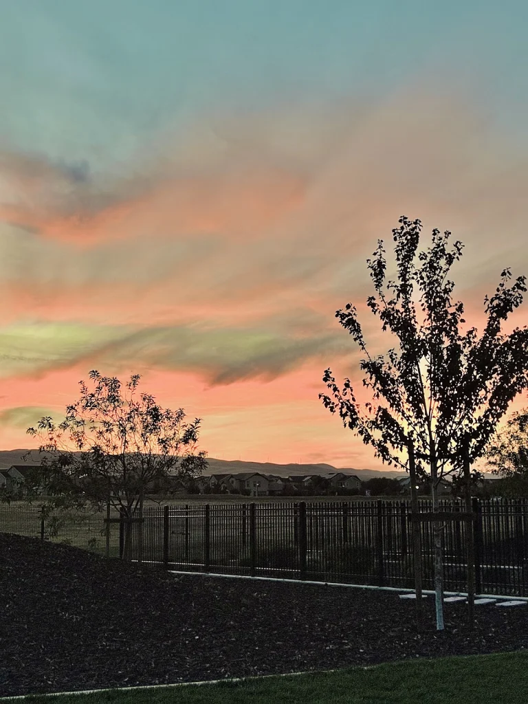 Ellis Dog Park, a dog-friendly dog park in Alameda County, California