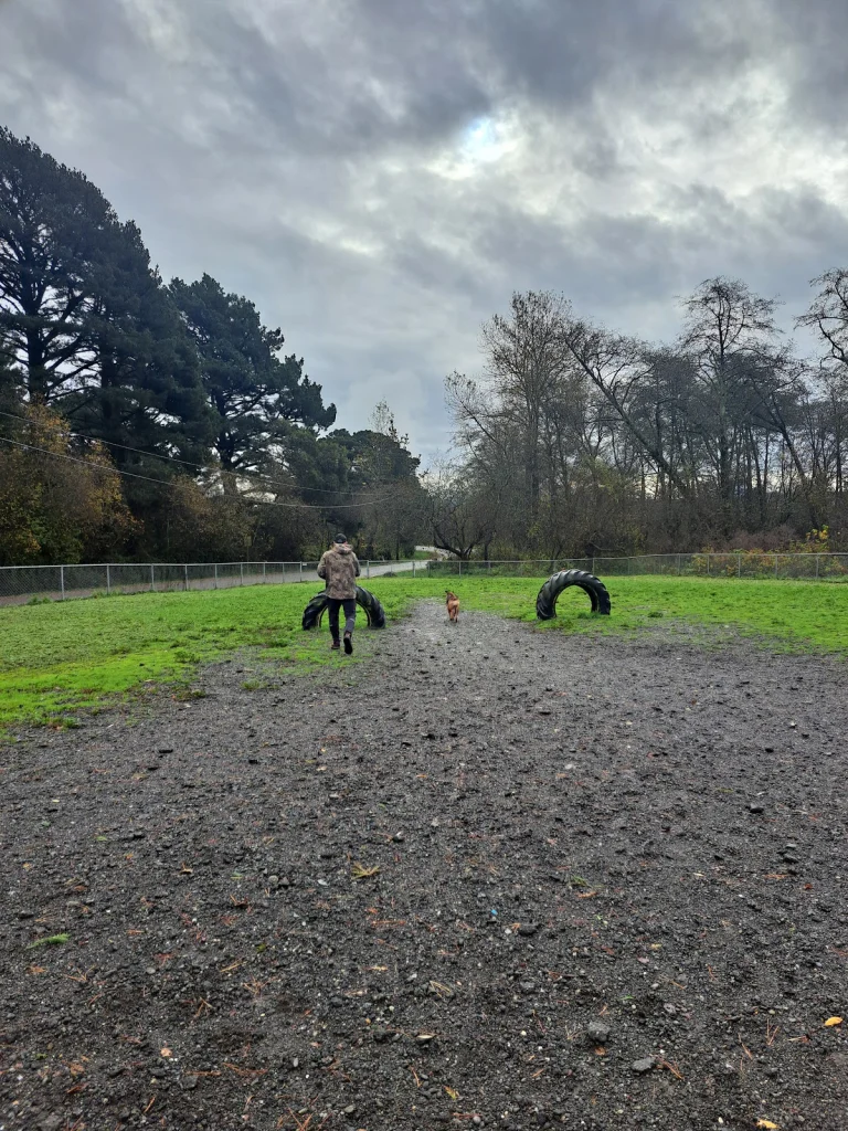 Fortuna Dog Park, a dog-friendly dog park in Humboldt County, California