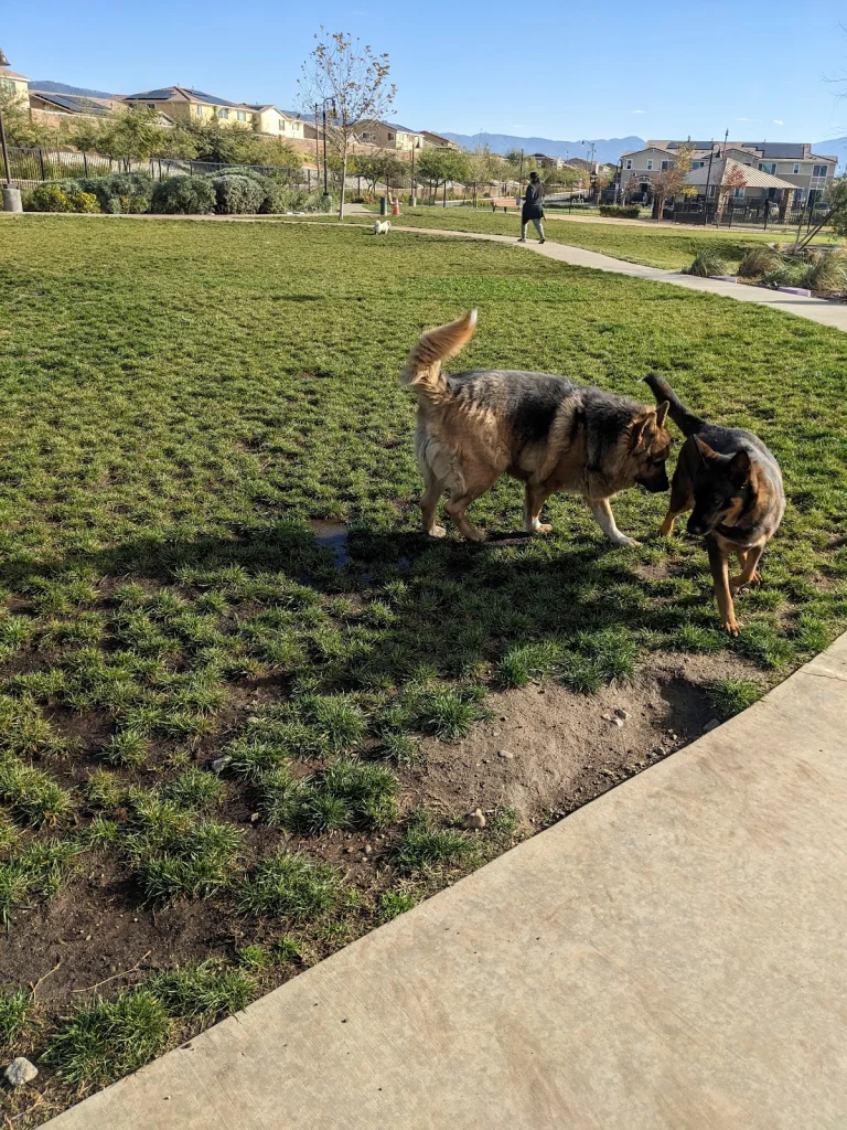 Gabion Ranch Dog Park, a dog-friendly dog park in San Bernardino County, California