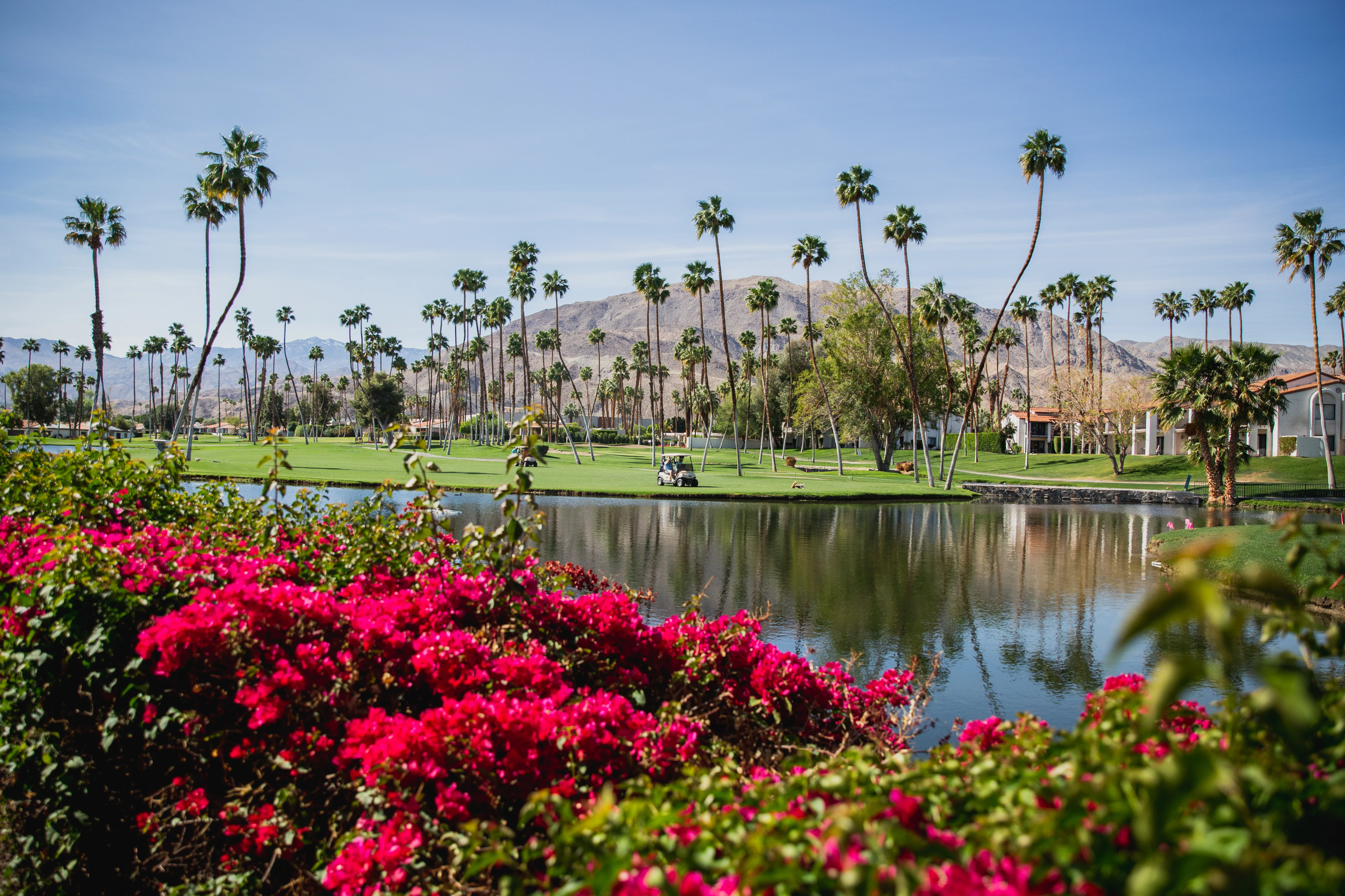 Omni Rancho Las Palmas Resort and Spa scenic view of golf course.
