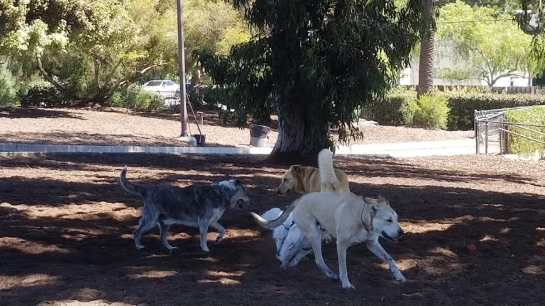 Herb Katz Dog Park, a dog-friendly dog park in Los Angeles County, California