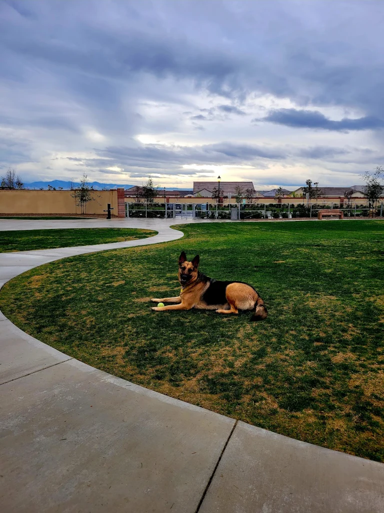 Highgate Dog Park, a dog-friendly dog park in Kern County, California