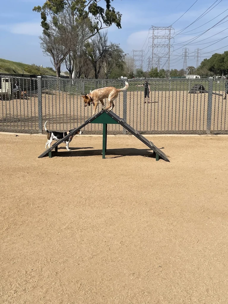 Hollydale Mobilehome dog park, a dog-friendly dog park in Orange County, California