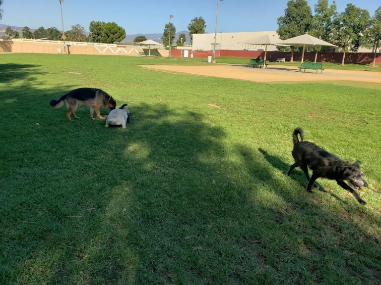Irvine Central Bark, a dog-friendly dog park in Orange County, California