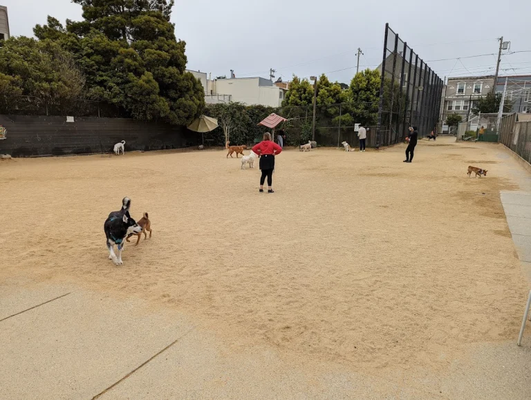 Joby’s Dog Run