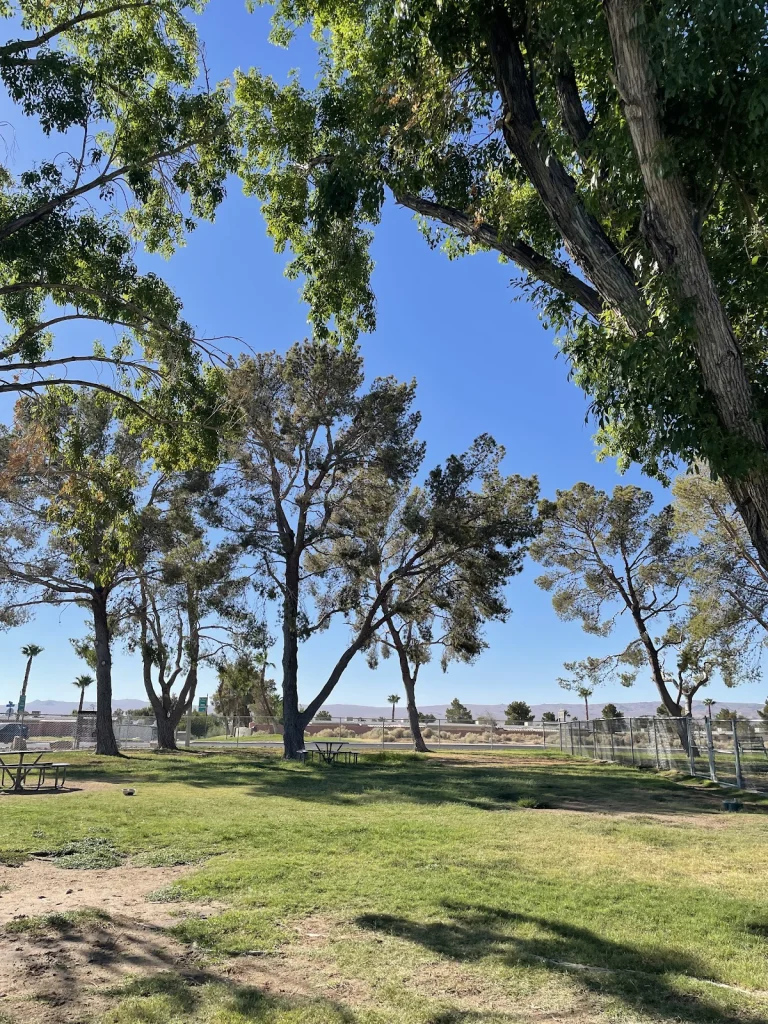 Kern County Dog Park