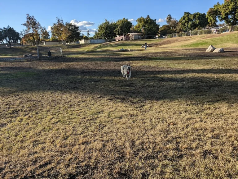 Kroll Dog Park, a dog-friendly dog park in Kern County, California
