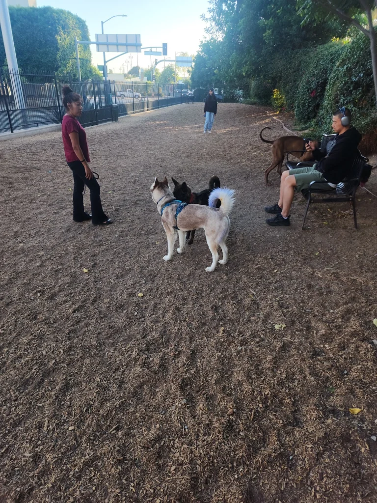 LAPD Lawn Park, a dog-friendly dog park in Los Angeles County, California