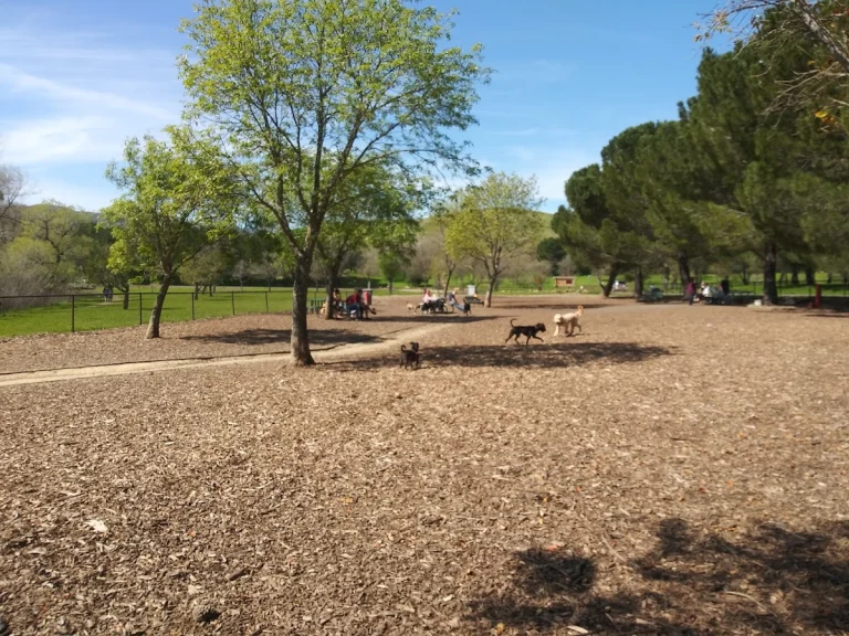 Lagoon Valley, a dog-friendly dog park in Napa County, California