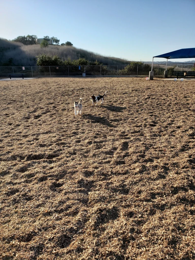 Laguna Niguel Pooch Park, a dog-friendly dog park in Orange County, California