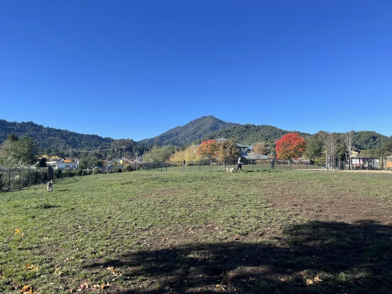 Larkspur Neighborhood Dog Park, a dog-friendly dog park in Marin County, California