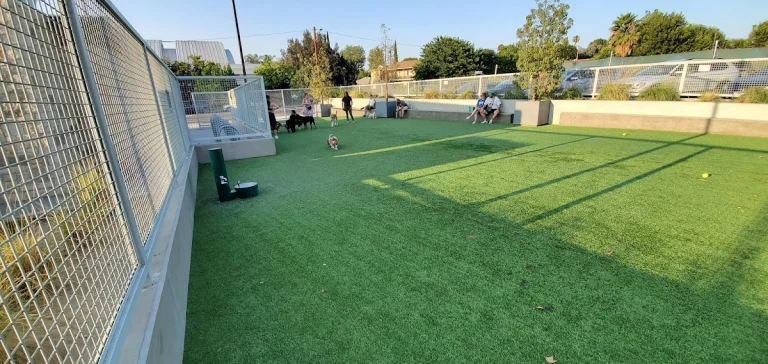 Library Square Dog Park, a dog-friendly dog park in Los Angeles County, California