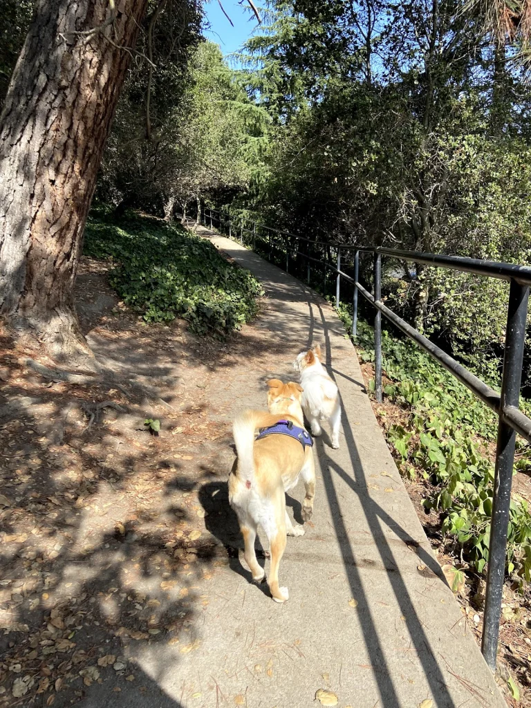 Linda Off Leash Dog Park, a dog-friendly dog park in Alameda County, California
