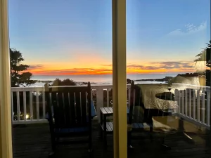 Ocean-view rooms for four-legged VIPs 