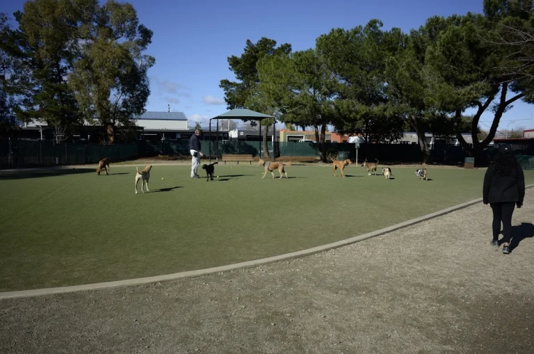 Los Gatos dog park (small), a dog-friendly dog park in Santa Clara County, California