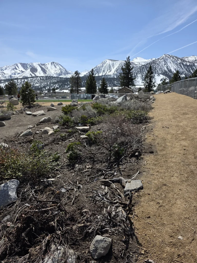 Mammoth Lakes dog park