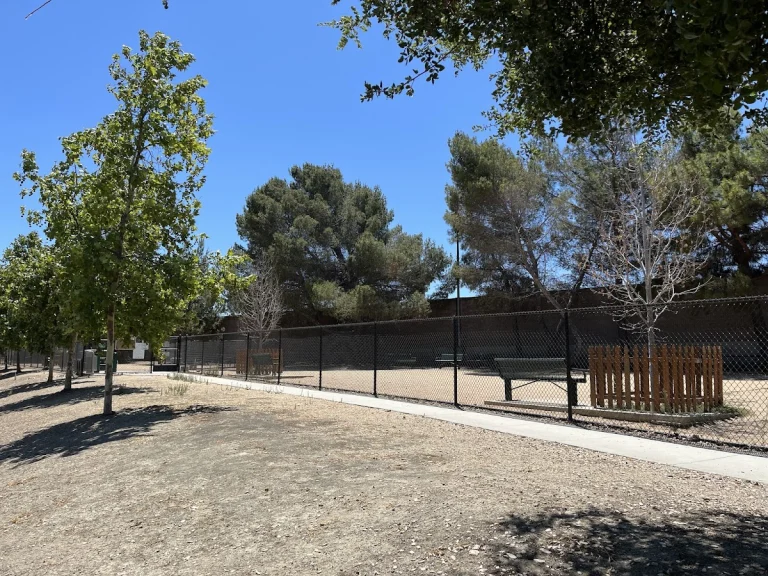 Mary Avenue Dog Park, a dog-friendly dog park in Santa Clara County, California