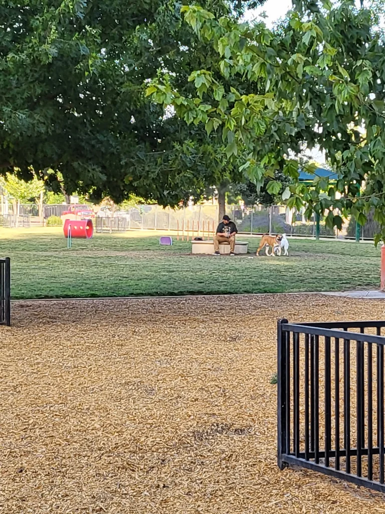 Merced City Dog Park