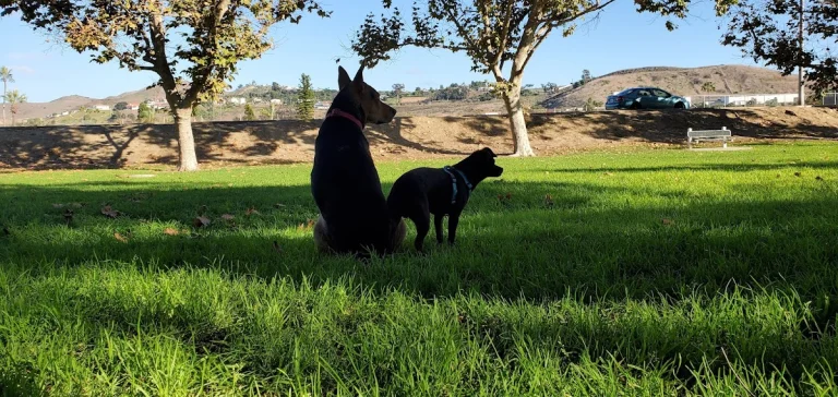 Mission Bell Dog Run, a dog-friendly dog park in Orange County, California