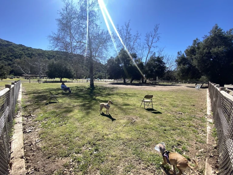 Mitchell Edelson Dog Park, a dog-friendly dog park in Ventura County, California