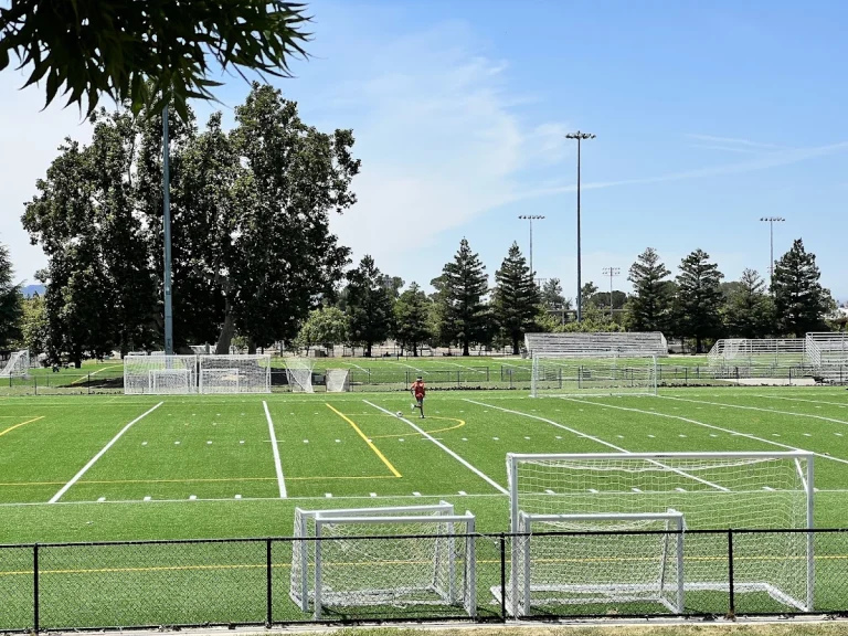 Mochi Chelmo Dog Park, a dog-friendly dog park in Alameda County, California