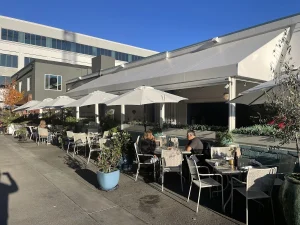 Mykonos, a dog-friendly destination in Burlingame, California