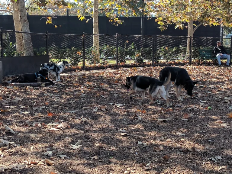Oberrieder Dog Park, a dog-friendly dog park in Los Angeles County, California