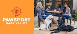 New for you: DogTrekker’s ulti-mutt spring event guide