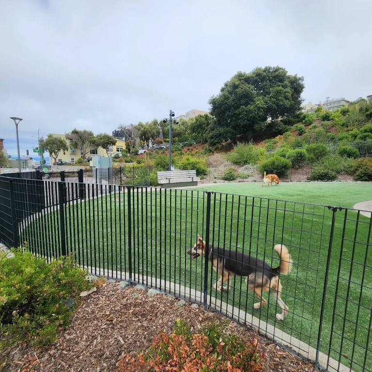 Pepi's Dog Park, a dog-friendly dog park in San Francisco County, California