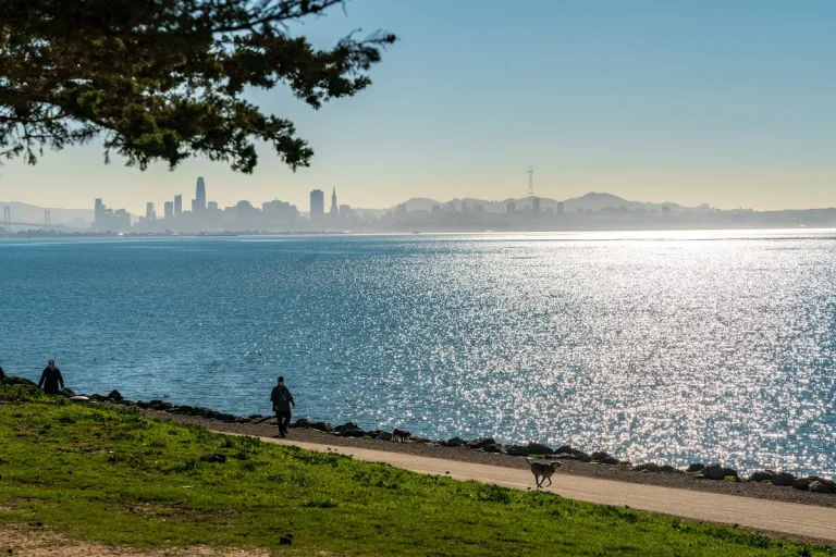 Point Isabel Dog Park, a dog-friendly dog park in Alameda County, California