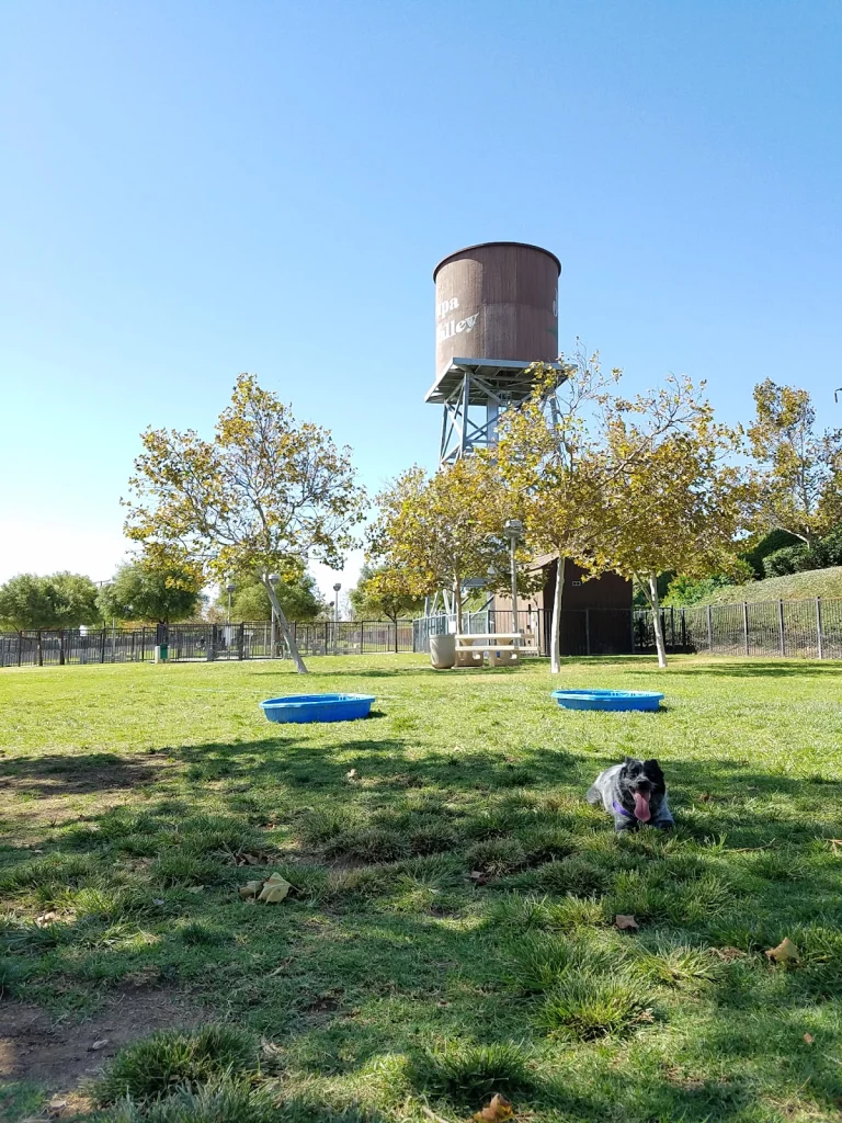 Private Park, a dog-friendly dog park in Riverside County, California