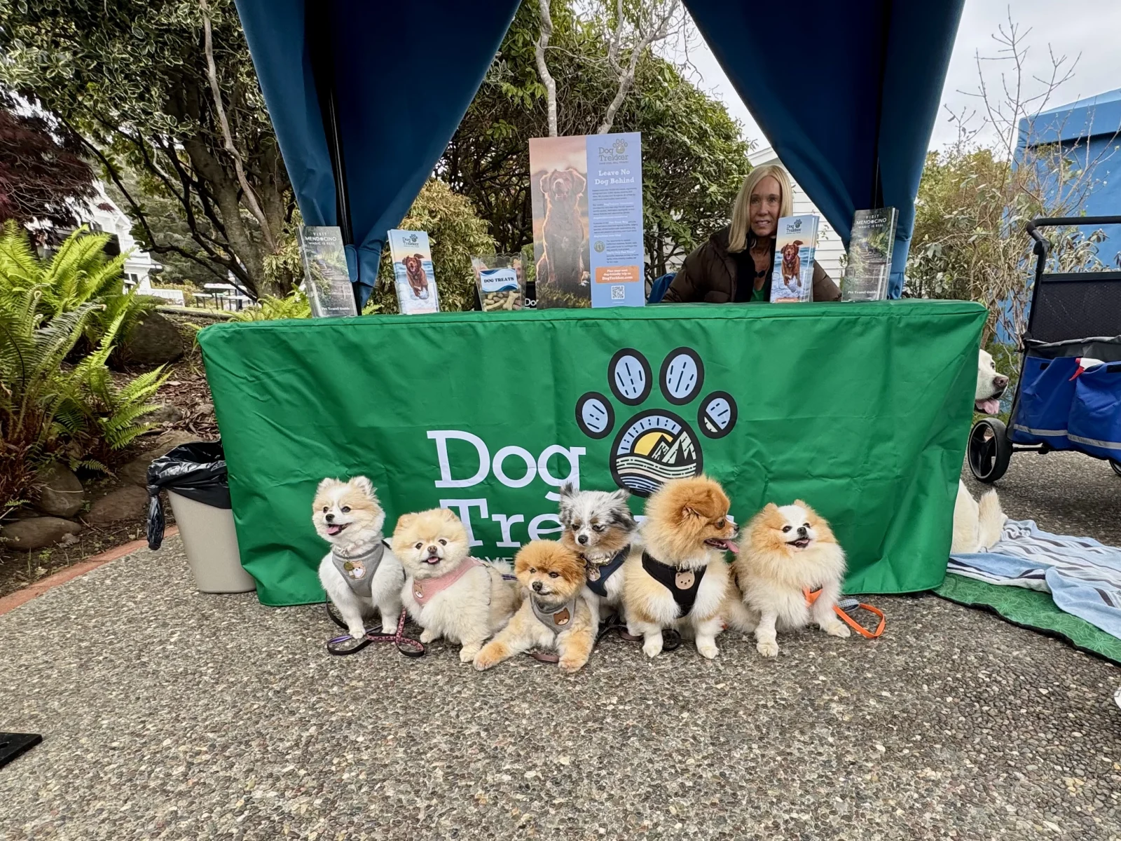 Pup Palooza