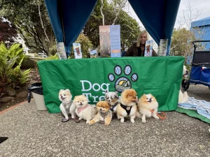 Pup Palooza. Photo by Dave Kendrick