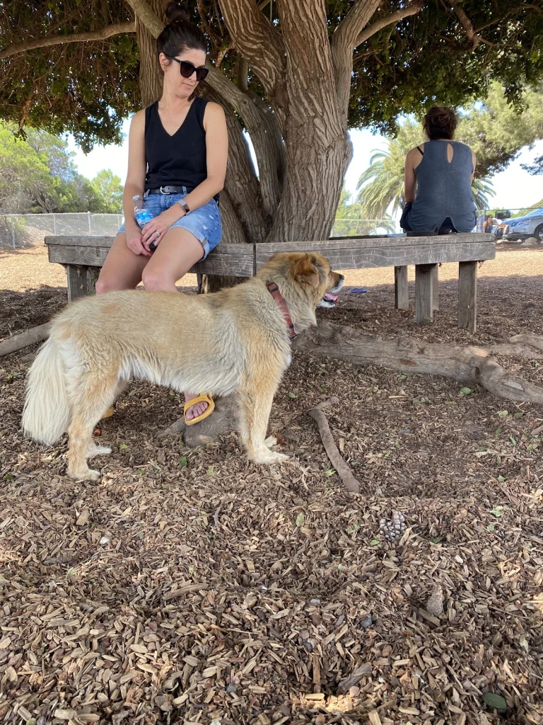 Rancho Caninos Dog Park, a dog-friendly dog park in Los Angeles County, California