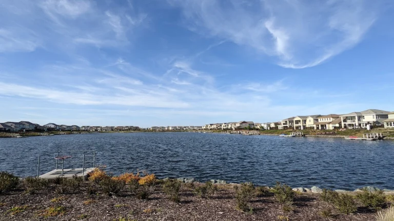 River Island Dog Park, a dog-friendly dog park in San Joaquin County, California