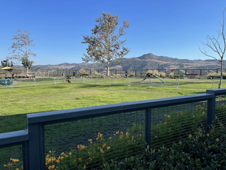 South Paw Dog Park, a dog-friendly dog park in Orange County, California
