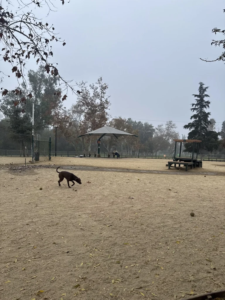 South Pawsadena Dog Park, a dog-friendly dog park in Los Angeles County, California