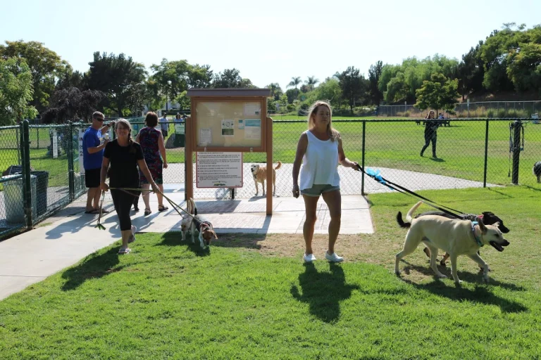 Springville Dog Park, a dog-friendly dog park in Ventura County, California