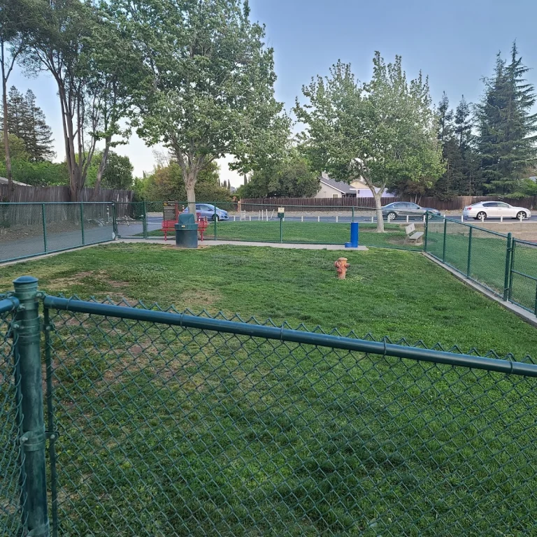Summerfield Park Dog Area, a dog-friendly dog park in Sacramento County, California