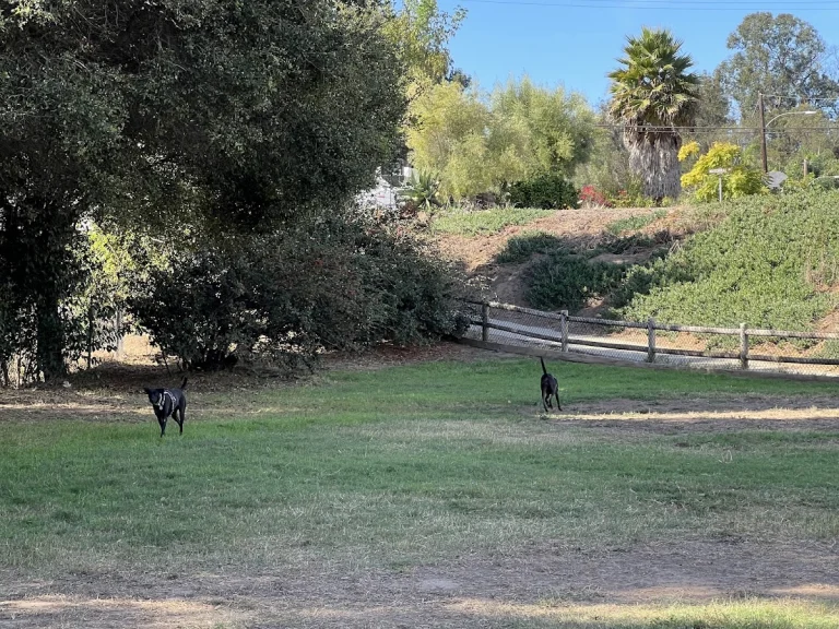 Tabano Hollow Open Space, a dog-friendly dog park in Santa Barbara County, California