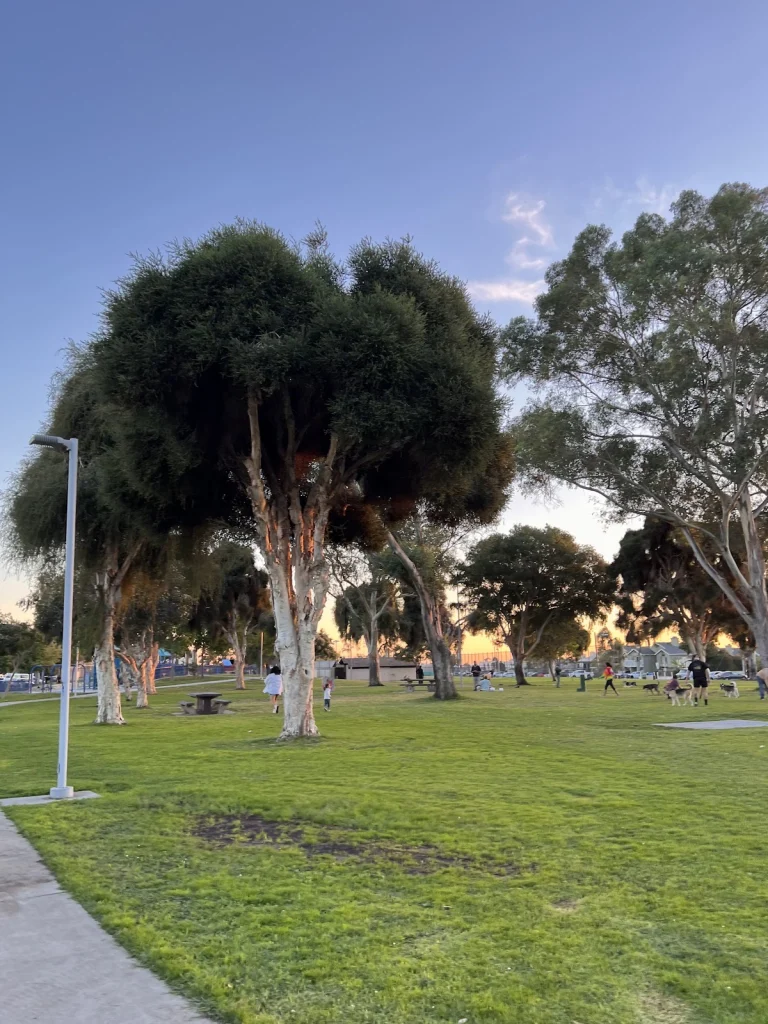 The Society Dog Park, a dog-friendly dog park in San Diego County, California