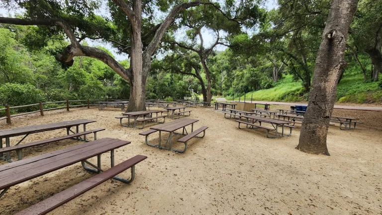 Toro Canyon Off Leash Area, a dog-friendly dog park in Santa Barbara County, California