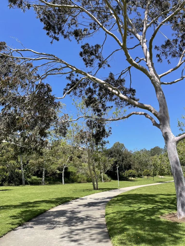 UTC Mall Dog Park, a dog-friendly dog park in San Diego County, California