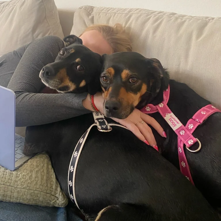 Vanderpump Dog Foundation