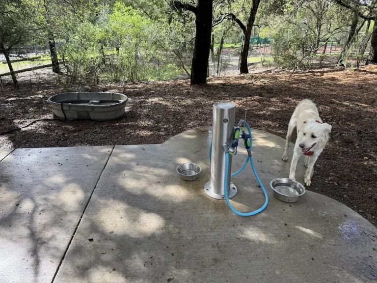Villa Dog Park, a dog-friendly dog park in Marin County, California
