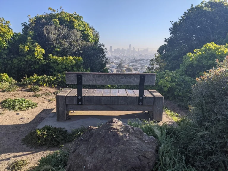 Walter Haas Dog Park, a dog-friendly dog park in San Francisco County, California