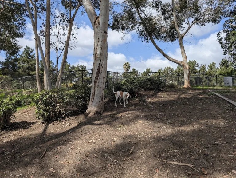 Ward Canyon Dog Park, a dog-friendly dog park in San Diego County, California