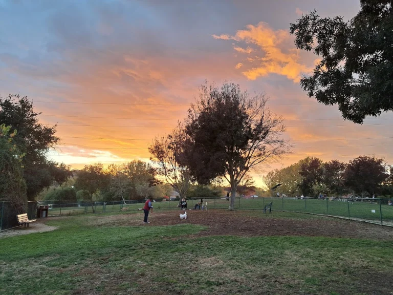 Wardlaw Dog Park (Large Dogs), a dog-friendly dog park in Contra Costa County, California
