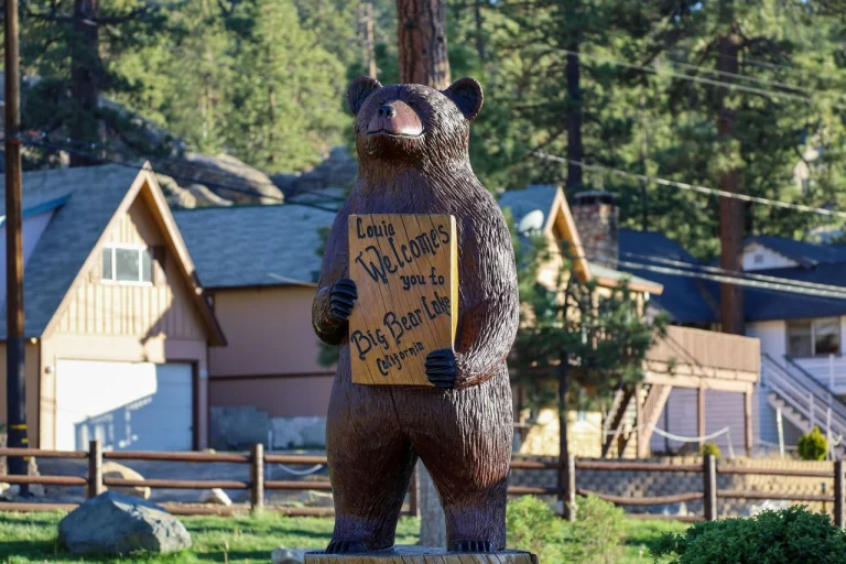 Image from Your mountain moment is waiting in Big Bear Lake on DogTrekker
