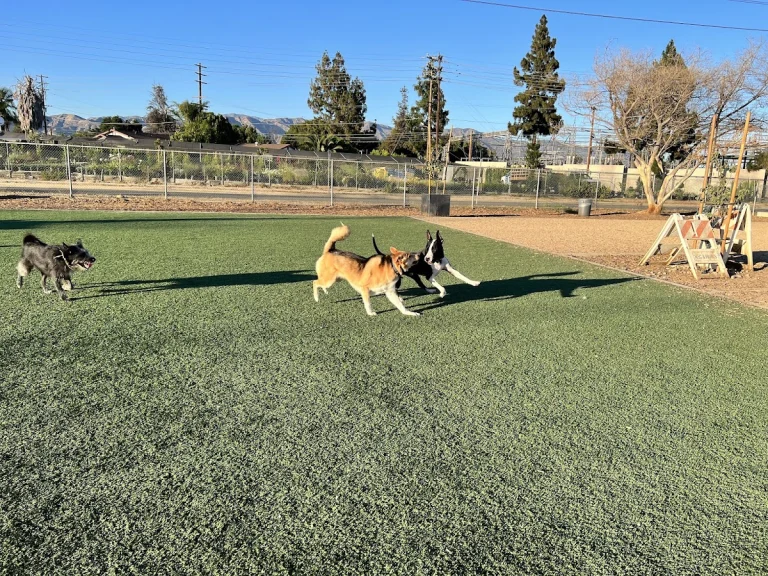Whitnall Highway dog park, a dog-friendly dog park in Los Angeles County, California